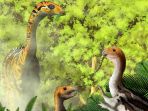limusaurus-inextricabilis_20170115_173903.jpg