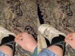 lintah-di-kaos-kaki.jpg