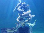 live-feeding-shark-di-seaworld-ancol.jpg