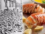 lobster_20180317_184535.jpg
