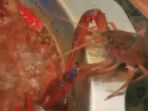 lobster_20180604_155452.jpg