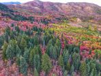 logan-canyon_20181008_173713.jpg