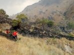 lokasi-10-hektar-padang-rumput-di-seputaran-pulau-komodo-nusa-tenggara-timur-ntt-yang-terbakar_20180803_181944.jpg
