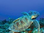 lombok_20170130_182310.jpg