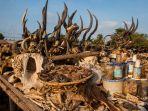lome-voodoo-market.jpg