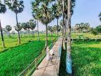 lontar-sewu-gambar.jpg