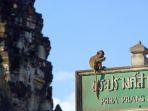 lopburi-monkey-festival-satu-festival-unik-di-thailand-yang-dinantikan-wisatawan.jpg