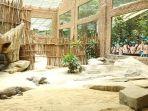 lorong-pulau-komodo-di-taman-safari-bogor.jpg