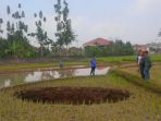 lubang-sukabumi_20180908_183446.jpg
