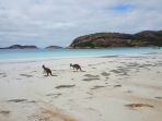 lucky-bay-cape-le-grand-national-park-australia-barat_20171012_154452.jpg