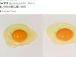 lukisan-telur-karya-pelukis-jepang.jpg
