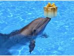 lulmba-lumba-memberi-hadiah_20180703_170742.jpg