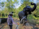mahout_20180414_092222.jpg