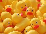 mainan-bebek-mandi-warna-kuning-di-china.jpg