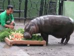 makanan-istimewa-untuk-devi_20170315_202007.jpg