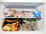 makanan-yang-disimpan-dalam-freezer_20180109_114131.jpg