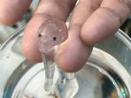 10 Penemuan Makhluk Paling Misterius di Alam Semesta, Benarkah Kiriman dari Planet Lain?