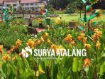 malang_20161008_224554.jpg