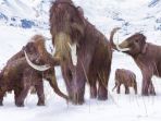 mammoth_20171218_124953.jpg