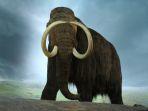mamut.jpg