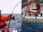mancing_20170802_131343.jpg