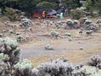 mandalawangi_20160814_211432.jpg