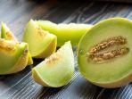 manfaat-honeydew.jpg
