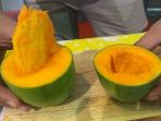 mangga-alpukat_20171229_200541.jpg