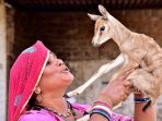 mangi-devi-bishnoi_20170516_140627.jpg