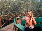mangrove-desa-tukak-1.jpg