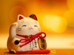 manike-neko_20170131_210810.jpg