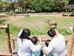 mara-river-safari-lodge.jpg