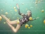 3 Tips Memilih Wetsuit untuk Diving, Perhatikan Ketebalan Bahannya!