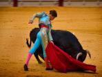 matador_20161023_110626.jpg