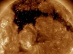 matahari_20170703_163943.jpg
