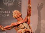 mayat-yang-dipamerkan-dalam-real-bodies-the-exhibition_20180415_175726.jpg