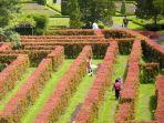maze-garden-taman-bunga-nusantara.jpg