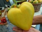 Fruit and Veggie Festival - Inilah Bedanya Melon Hijau dan Kuning, Kamu Nggak akan Nyangka