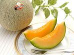 melon_20170128_103610.jpg
