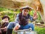memerah-sapi-di-cimory-on-the-valley.jpg