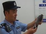 merpati-china_20170708_140640.jpg