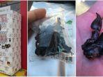 mesin-penjual-otomatis-di-jepang.jpg
