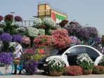 miracle-and-butterfly-garden_20171103_204720.jpg
