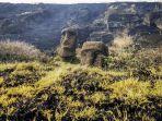 moai-patung-batu-budaya-rapa-nui-pulau-paskah-chili.jpg