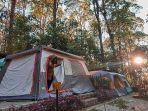 mojosemi-forest-park-camp.jpg