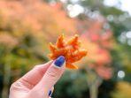 momiji-tempura.jpg