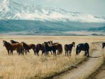 mongolia_20170305_164332.jpg