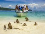 monkey-beach_20170308_143737.jpg