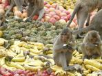 monkey-buffet-festival_20161008_105234.jpg