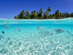 morotai_20161016_205702.jpg